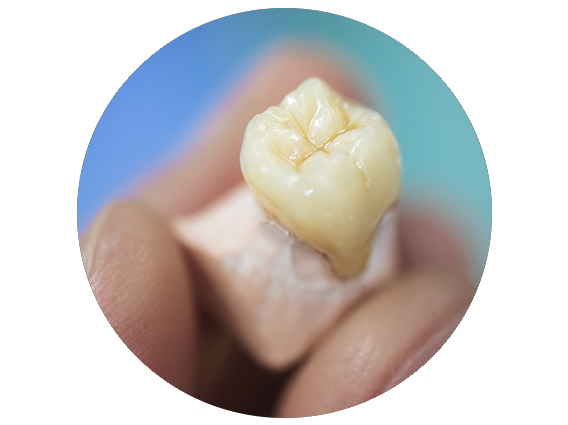 dentistry